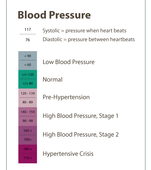 the bottom number blood pressure
